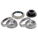 Kit cuscinetto ruota SNR R152.64