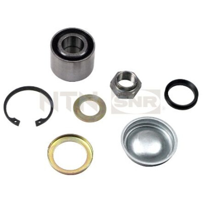 Kit cuscinetto ruota SNR R159.19
