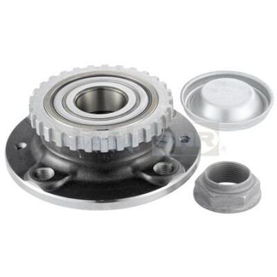 Kit cuscinetto ruota SNR R166.29