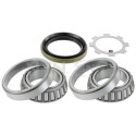Kit cuscinetto ruota SNR R177.02