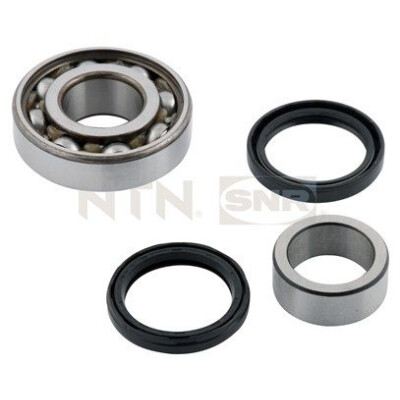 Kit cuscinetto ruota SNR R177.13