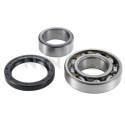 Kit cuscinetto ruota SNR R177.15