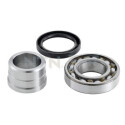 Kit cuscinetto ruota SNR R177.23