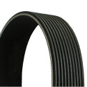 Cinghia trapezoidale in poliestere CONTINENTAL CTAM 10PK1768