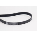 Cinghia Poly-V CONTINENTAL CTAM 5PK1300