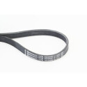 CONTINENTAL CTAM 5PK705 ELAST cinghia trapezoidale in poliestere