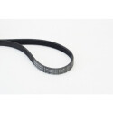 CONTINENTAL CTAM 5PK868 ELAST cinghia trapezoidale in poliestere
