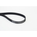 CONTINENTAL CTAM 6PK1059 ELAST cinghia trapezoidale in poliestere