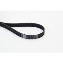 Cinghia Poly-V CONTINENTAL CTAM 6PK1120