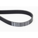 Cinghia trapezoidale in poliestere CONTINENTAL CTAM 6PK1153