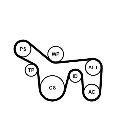 Kit cinghie Poly-V Continental CTAM 6PK1715K1