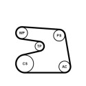 Kit cinghie Poly-V Continental CTAM 6PK1873K4