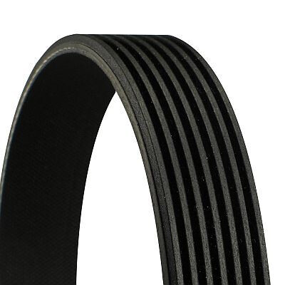 Cinghia trapezoidale in poliestere CONTINENTAL CTAM 7PK1770