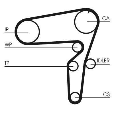 Kit cinghie dentate CONTINENTAL CTAM CT1076K1