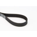 Cinghia dentata CONTINENTAL CTAM CT1088