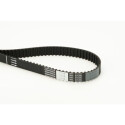 Cinghia dentata CONTINENTAL CTAM CT1101