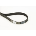 Cinghia dentata CONTINENTAL CTAM CT1162