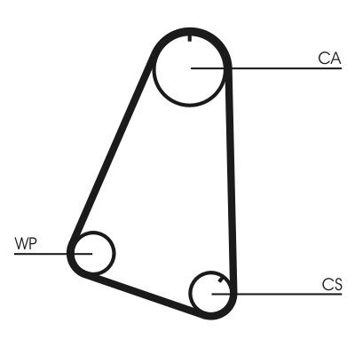 Cinghia dentata CONTINENTAL CTAM CT504