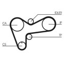 Kit cinghie dentate CONTINENTAL CTAM CT508K1
