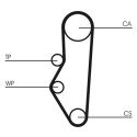 Cinghia dentata CONTINENTAL CTAM CT525