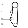 Kit cinghie dentate CONTINENTAL CTAM CT527K1