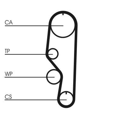 Cinghia dentata CONTINENTAL CTAM CT557