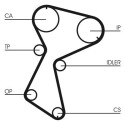 Cinghia dentata CONTINENTAL CTAM CT604