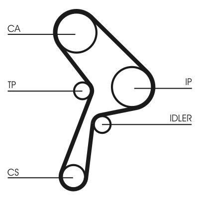 Cinghia dentata CONTINENTAL CTAM CT609