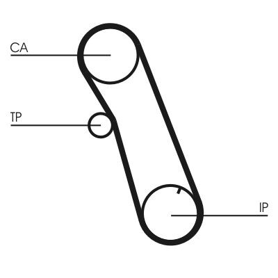 Cinghia dentata CONTINENTAL CTAM CT616