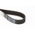 Cinghia dentata CONTINENTAL CTAM CT619