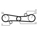 Cinghia dentata CONTINENTAL CTAM CT654