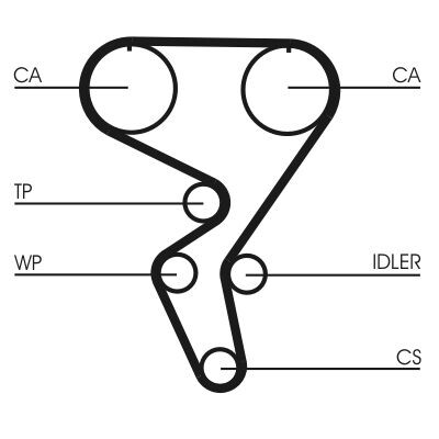 Cinghia dentata CONTINENTAL CTAM CT724