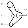 Kit cinghie dentate CONTINENTAL CTAM CT731K1