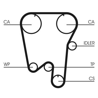 Cinghia dentata