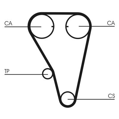 Cinghia dentata CONTINENTAL CTAM CT803
