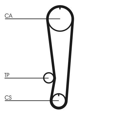 Cinghia dentata CONTINENTAL CTAM CT808