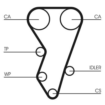 Cinghia dentata CONTINENTAL CTAM CT864