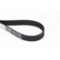 Cinghia dentata CONTINENTAL CTAM CT867