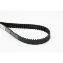 Cinghia dentata CONTINENTAL CTAM CT873