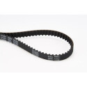 Cinghia dentata CONTINENTAL CTAM CT874