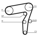 Kit cinghie dentate CONTINENTAL CTAM CT918K1