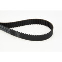 Cinghia dentata CONTINENTAL CTAM CT919