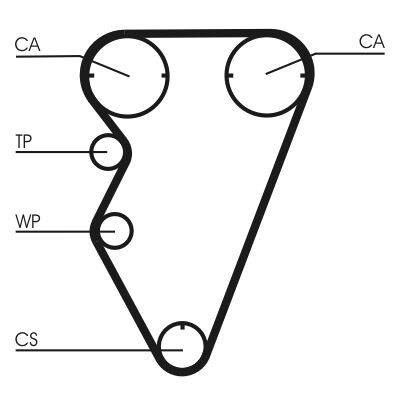Cinghia dentata CONTINENTAL CTAM CT929