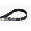 Cinghia dentata CONTINENTAL CTAM CT935