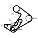 Cinghia dentata CONTINENTAL CTAM CT938