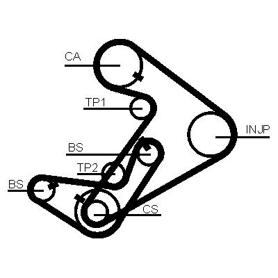 Cinghia dentata CONTINENTAL CTAM CT938