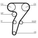 Kit cinghie dentate CONTINENTAL CTAM CT947K1