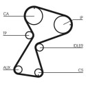 Kit cinghie dentate CONTINENTAL CTAM CT949K2