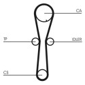 Kit cinghie dentate CONTINENTAL CTAM CT954K1