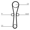 Kit cinghie dentate CONTINENTAL CTAM CT954K1